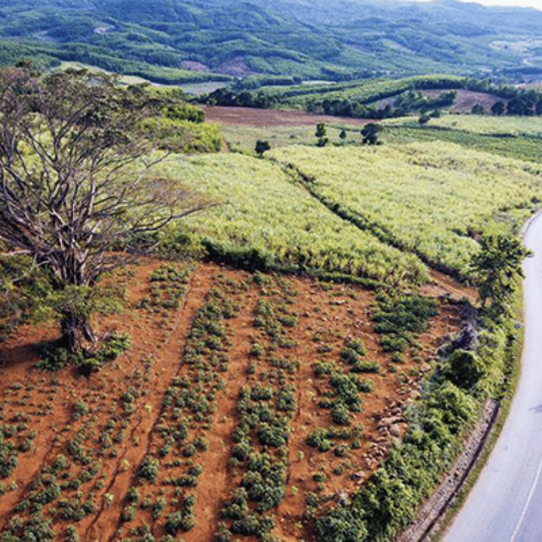 Tour Phú Yên- Cao Nguyên Vân Hòa - Khám phá Đà Lạt thu nhỏ trong lòng Phú Yên Tour Phú Yên- Cao Nguyên Vân Hòa - Khám phá Đà Lạt thu nhỏ trong lòng Phú Yên