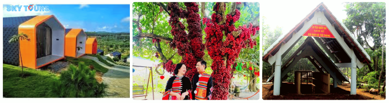 Tour Phú Yên- Cao Nguyên Vân Hòa - Khám phá Đà Lạt