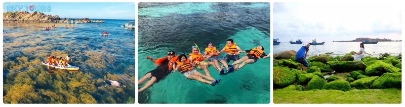 Tour Quy Nhơn - Biển Đảo – Phú Yên 3 ngày 2 đêm