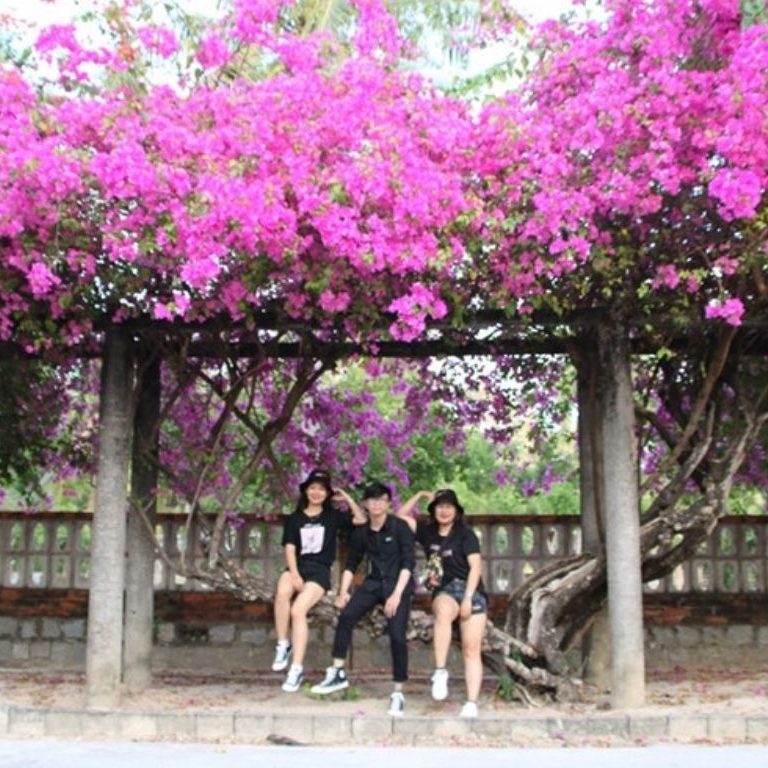 Tour Quy Nhơn – Biển Đảo - Trở về cùng biển nhớ Quy Nhơn - Phú yên 4 ngày 3 đêm