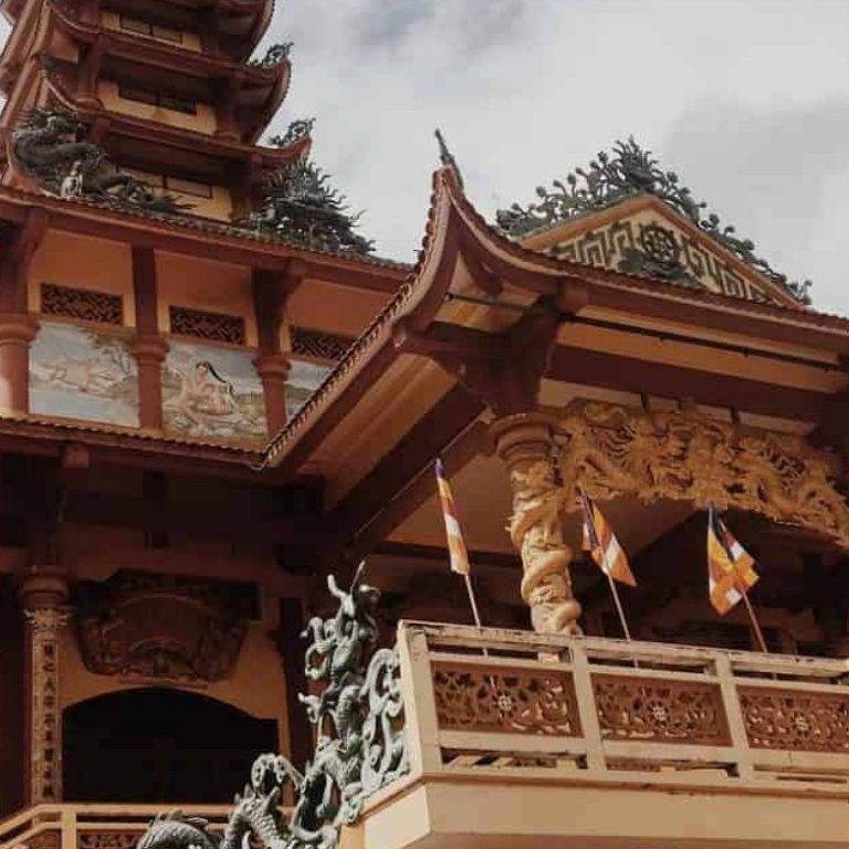 Tour KDL sinh thái Cồn Chim - Khám phá lá phổi xanh Quy Nhơn Tour KDL sinh thái Cồn Chim - Khám phá lá phổi xanh Quy Nhơn