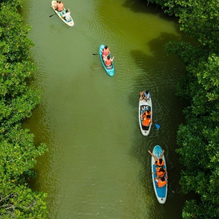 Tour KDL sinh thái Cồn Chim - Khám phá lá phổi xanh Quy Nhơn Tour KDL sinh thái Cồn Chim - Khám phá lá phổi xanh Quy Nhơn