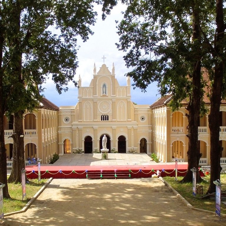 Tour KDL sinh thái Cồn Chim - Khám phá lá phổi xanh Quy Nhơn Tour KDL sinh thái Cồn Chim - Khám phá lá phổi xanh Quy Nhơn