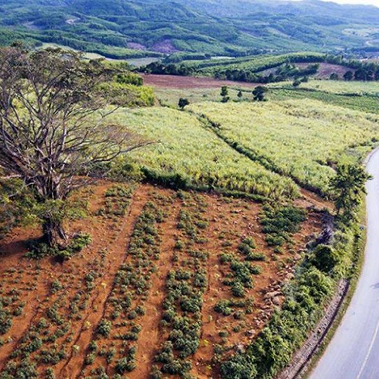 Tour Phú Yên - Cao Nguyên Vân Hoà - Camping lửa trại 2 ngày 1 đêm