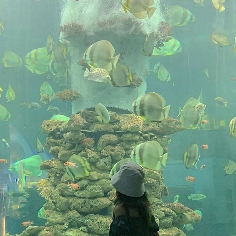 Tour Nha Trang 2 ngày 1 đêm - Khám phá Vinpearl Land Tour Nha Trang 2 ngày 1 đêm - Khám phá Vinpearl Land