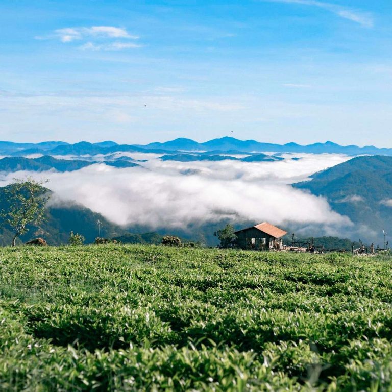 Tour Quy Nhơn - Măng Đen - Gia Lai 3 ngày 2 đêm